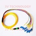 8cores MPO Patch Cord with FC connector