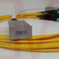 定制光纤阵列+MPO连接器组件