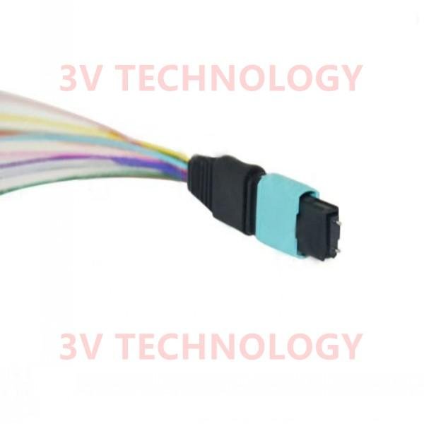 12cores MPO Patch Cord with LC connector 3
