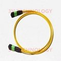 12cores MPO Patch Cord with LC connector 16