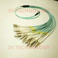 24芯MPO光纤跳线 1