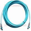 24cores MPO Patch Cord with LC connector 16