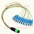 24cores MPO Patch Cord with LC connector