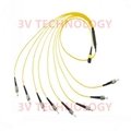 12cores MPO Patch Cord with SC connector 11