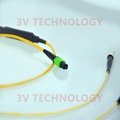 12cores MPO Patch Cord with SC connector 12