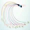 Custom MTP fiber sub-assembly 9