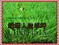Football Artificial grass 