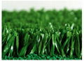 Soccer synthetic grass