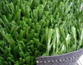 Soccer synthetic grass