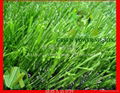 Soccer synthetic turf 1