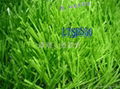 Monofilament artificial grass S shape 1