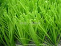 Monofilament artificial grass S shape 4