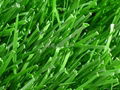 Two colors synthetic turf 1