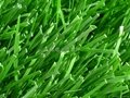 Two colors synthetic turf