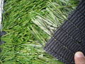 Thiolon artificial turf 1