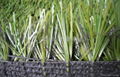 Thiolon artificial turf