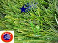 Best Thiolon artificial grass 1