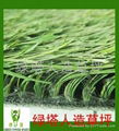 Best Thiolon artificial grass 3