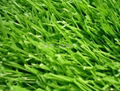 Thiolon artificial turf