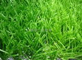 Thiolon artificial turf