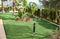 Decoration artificial turf 4
