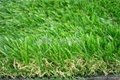 Decoration artificial turf 5