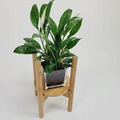 succulent indoor plant pot flowerpot bamboo stand display  bamboo Planter Holder 4