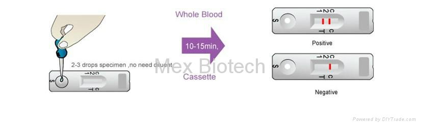 One-Step Troponin I Rapid Test 4