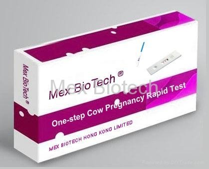 One-Step Cow Pregnancy Rapid Test