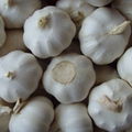 2017 New Crop Fresh Garlic Price Solo Garlic 4