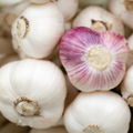 2017 New Crop Fresh Garlic Price Solo Garlic 5