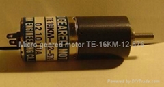 Micro geared motor TE-16KM-12-576