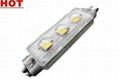 CAMZ-S54-3X-T3: Crystal 3LED SMD 5050