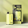 Breze Stiik BOX E Cigarettes Disposable Vape Pen 3500 Puffs 1500mAh 2% 20mg Salt