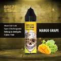 Breze Stiik Fit 6k Puffs Disposable Vape Pod E Juice Bottle Mesh Coil Wholesale