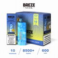 BREZE STIIK BS8500 Disposable Vape Pod 17ml 8000 Puffs Rechargeable device 3