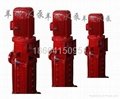 DL立式多级泵消防泵 5