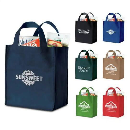 Non Woven Shopping Bags 2