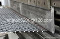 6mm opening crimped wire mesh with 30 years history