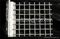 6mm opening crimped wire mesh with 30 years history 4