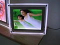 Crystal LED Lighting Box 5