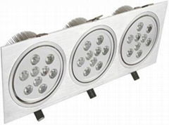 LED Ceiling Light