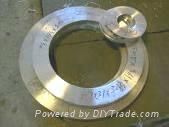 flanges