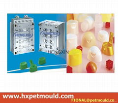 flip cap mould