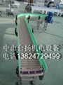 Chain conveyor 2