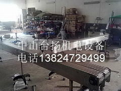 Chain plate conveyor line