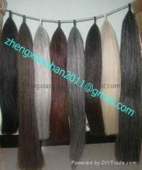 Horse hair show tail extension in 36 inches long 1 pound 