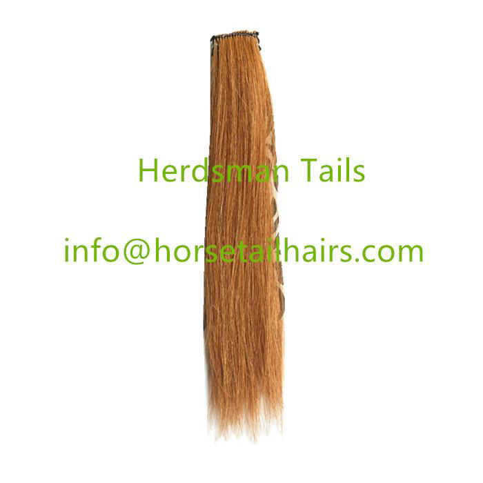 12-15" horse forelock extensions and false horse forelocks made of mane hairs 4
