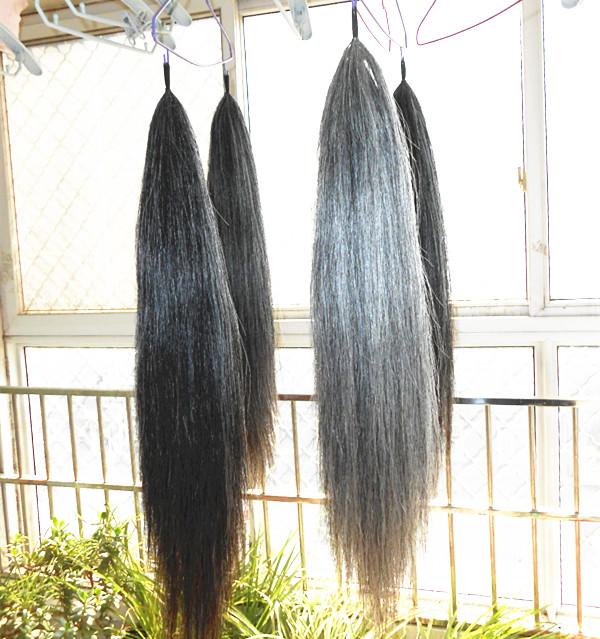 Cloth loop English horse tail extensions and false tails selling in Australia