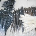 Cloth loop English horse tail extensions and false tails selling in Australia  3